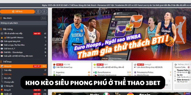 Thể thao 3BET