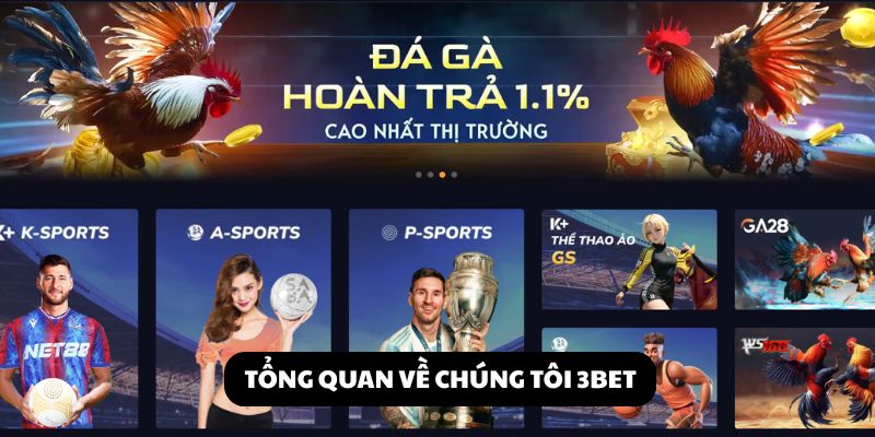 Về chúng tôi