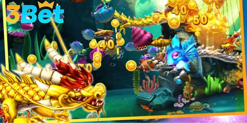 Cao thủ săn rồng có chiến thuật chơi đặc biệt